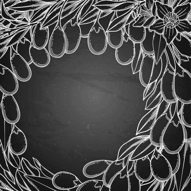 图形枸杞浆果，花和叶子。矢量花卉设计图片下载