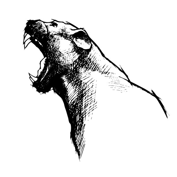 矢量插图虎头，面向复古标识，标志，徽章，标签模板和t恤复古设计元素。孤立在白色背景上，纹身。图片下载