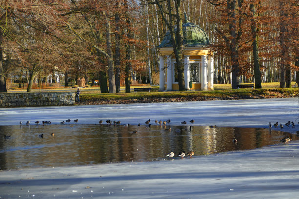 温泉公园与池塘和矿泉，Frantiskovy Lazne图片下载
