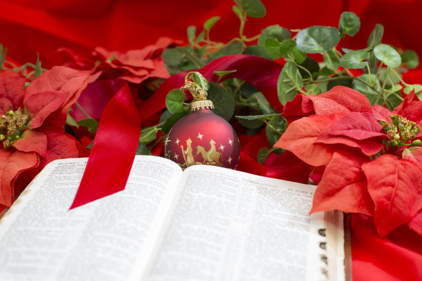 圣诞红装饰与打开的圣经。图片下载
