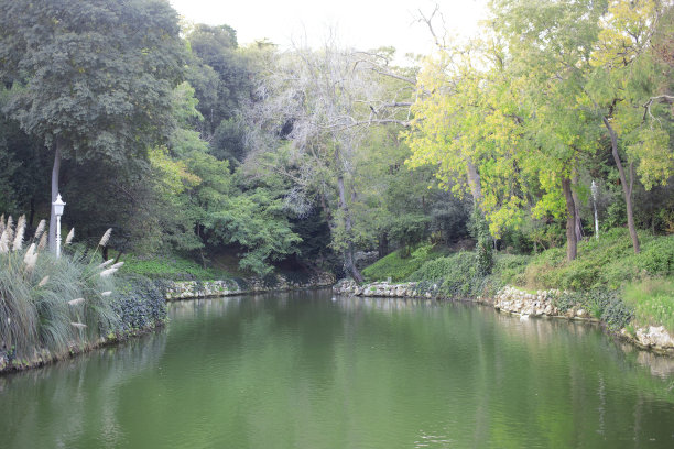 田园诗般的湖图片下载