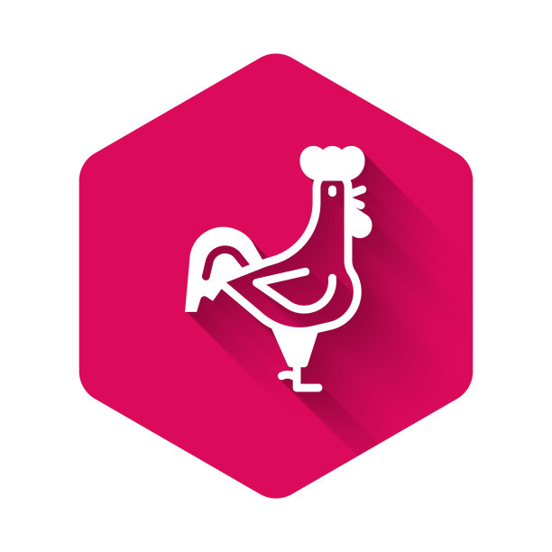白色的法国公鸡象征孤立的长阴影。粉色六角形按钮。向量图片下载