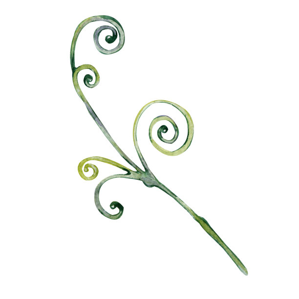 绿叶为一束花合上。手水彩插图孤立的白色背景。设计婚礼印刷品，请柬，祝贺，剪纸，明信片，生日图片下载