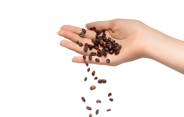 女性手倒烤咖啡豆孤立的白色背景。女人用手掌倒咖啡豆。图片下载