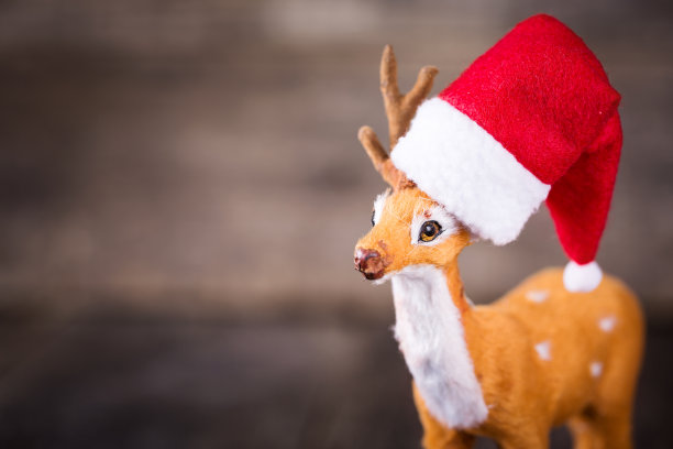 圣诞老人的帽子上的玩具鹿在木制的背景上图片下载