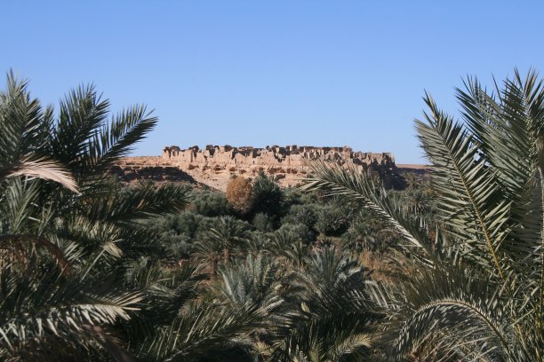 梅斯基的老国王图片下载