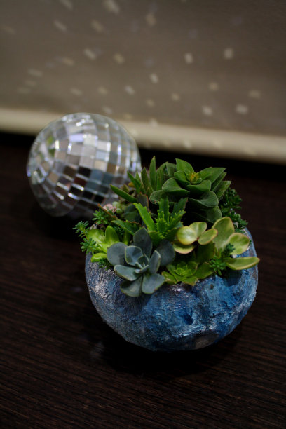 迪斯科球与花月相遇图片下载