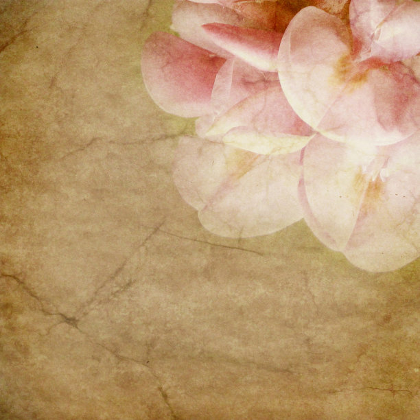 有花卉图案的旧纸图片下载
