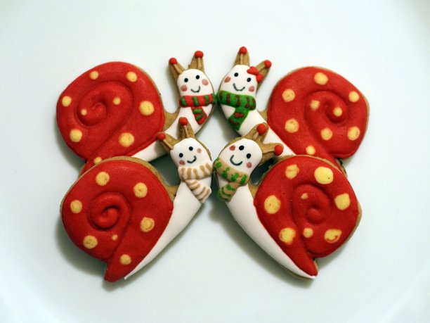 手工制作的蜗牛形状的蜂蜜饼干图片下载