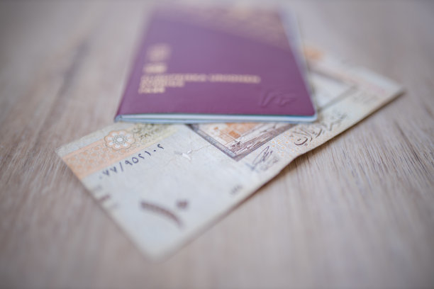 一张模糊的瑞典护照里藏了10沙特里亚尔图片下载