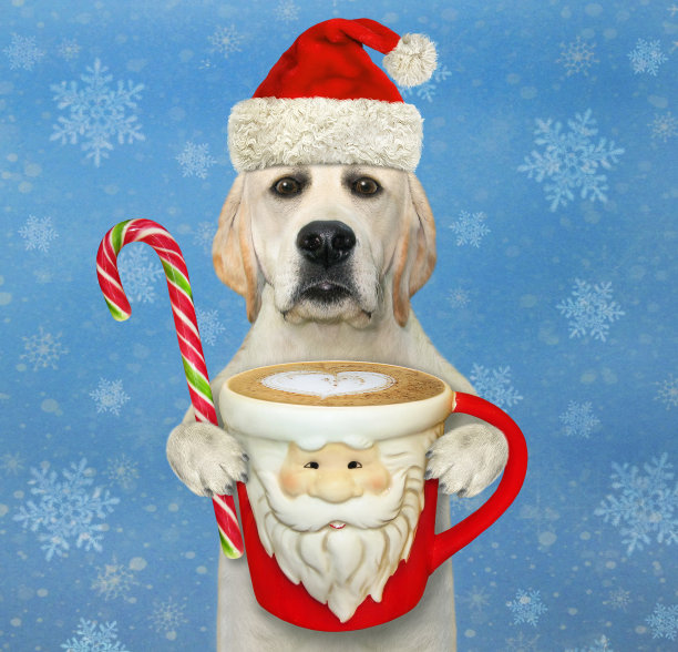 狗和糖果、手杖和咖啡图片下载