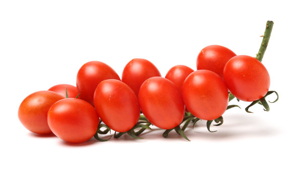 圣女果图片下载