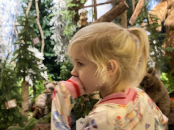 女孩在看圣诞装饰图片下载