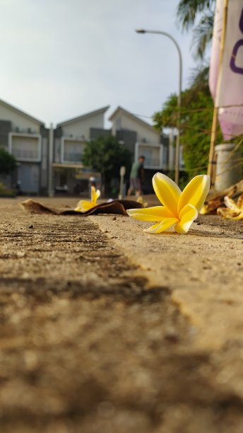 自然美图片下载