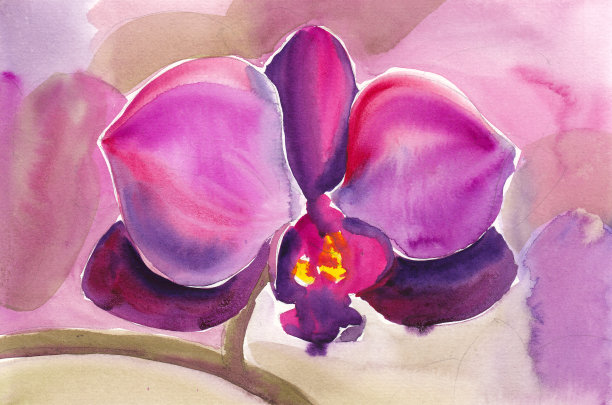 水彩素描一枝紫色兰花与叶。图片下载