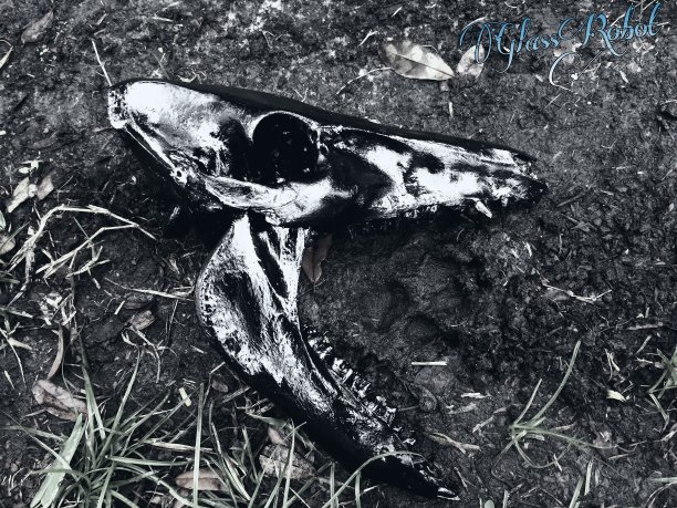 死亡来了图片下载