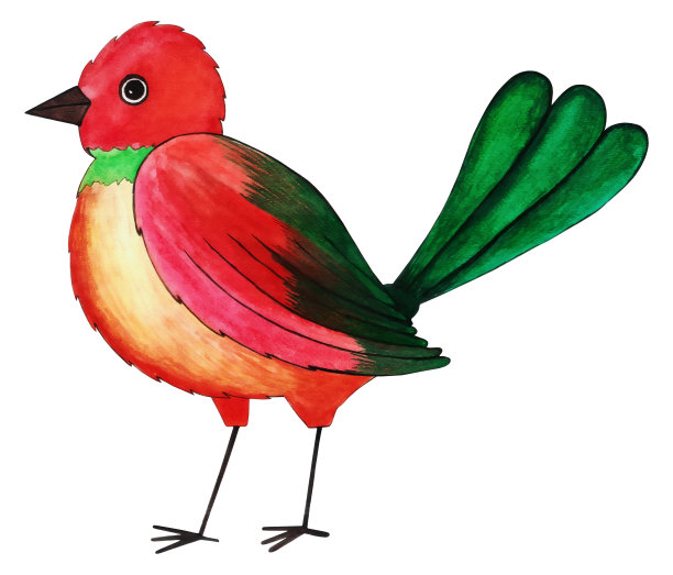 手绘水彩构成的五彩鸟。孤立在白色背景上。可爱的小鸟插图贺卡，邀请图片下载