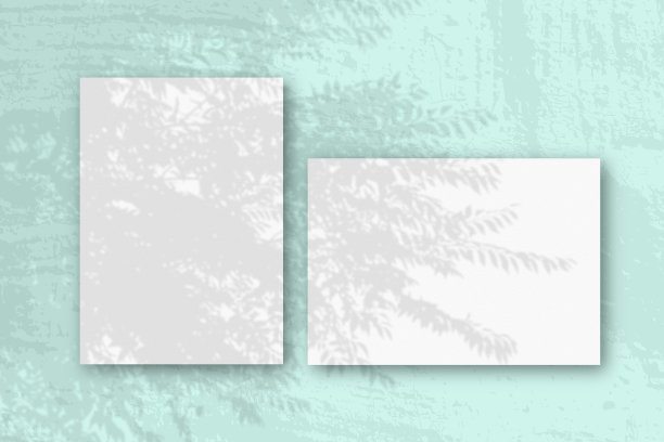 水平和垂直的白色纹理纸与蓝色的墙壁背景。模型与植物阴影覆盖。自然光在外来植物上投下阴影图片下载