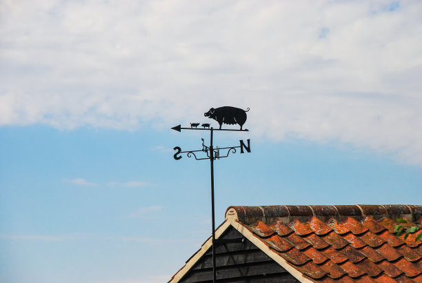 屋顶上有三只小猪的风向标图片下载