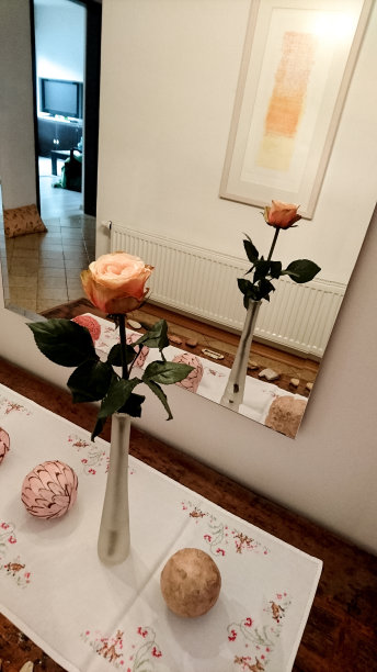 美丽的玫瑰花在门口迎接客人图片下载