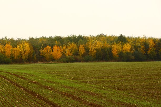 秋天在Fröndenberg在乌纳县图片下载