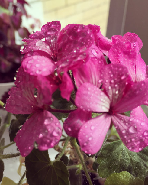 沃罗涅日图片下载