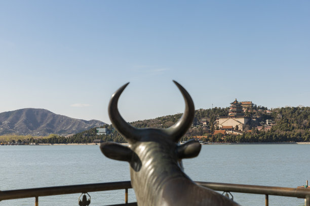 北京颐和园铜牛雕像图片下载