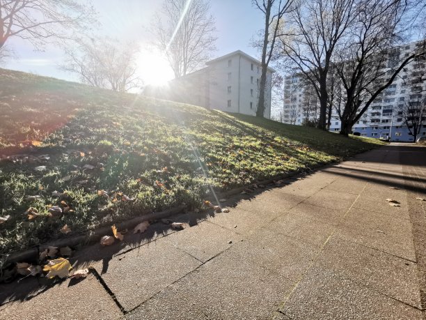 一个阳光明媚的秋日，德国埃森霍尔斯特豪森绿色郊区图片下载