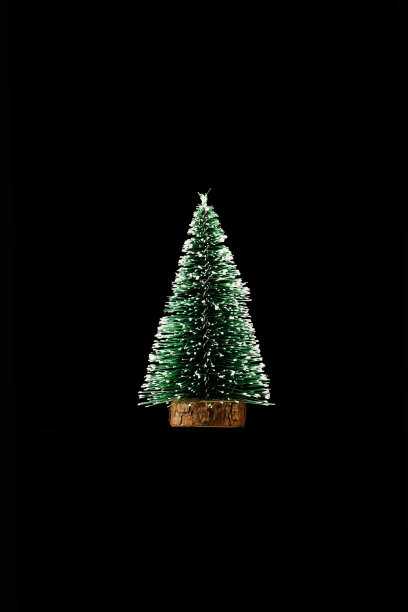 黑色背景上的圣诞树图片下载