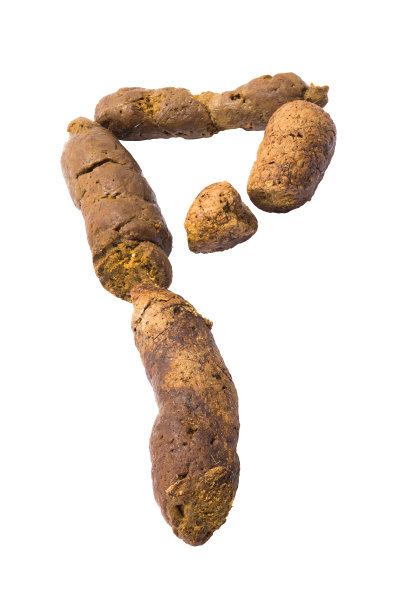 孤立的猫屎图片下载