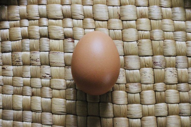 鸡蛋。图片下载