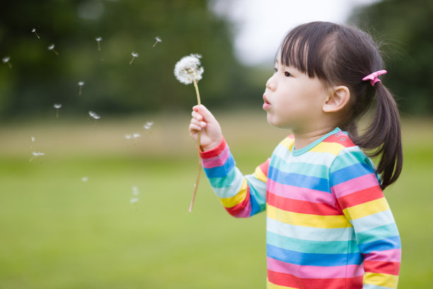 年轻的女孩在夏日的早晨吹蒲公英图片下载