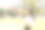 亚洲可爱的女孩穿着白色校服在草坪上玩泡泡气球。可爱的女孩在花园里玩肥皂泡。图片下载