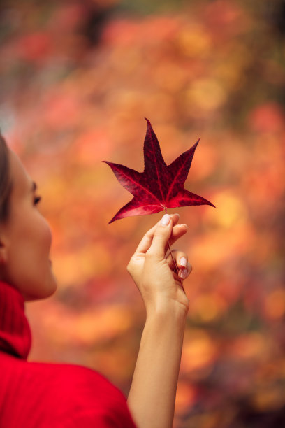 秋叶背景图片下载