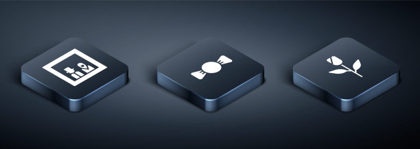 设置等距家庭照片，花玫瑰和蝴蝶结图标。向量图片下载