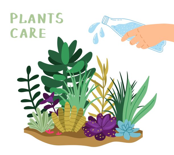 植物保健插图图片下载