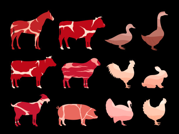农场动物剪影和肉类纹理图片下载