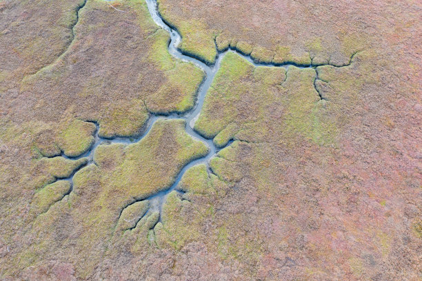 加州湿地的空中摘要图片下载