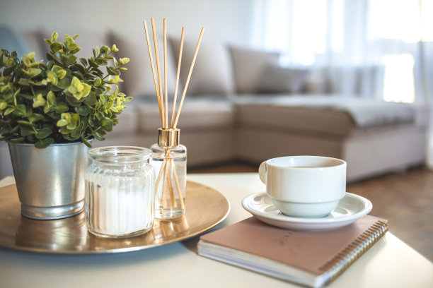 斯堪的纳维亚家庭装饰蜡烛，香水，书籍图片下载