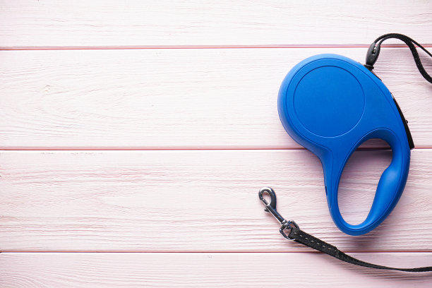 蓝色可伸缩的狗链，木制的粉色背景，文字空间。平的。图片下载