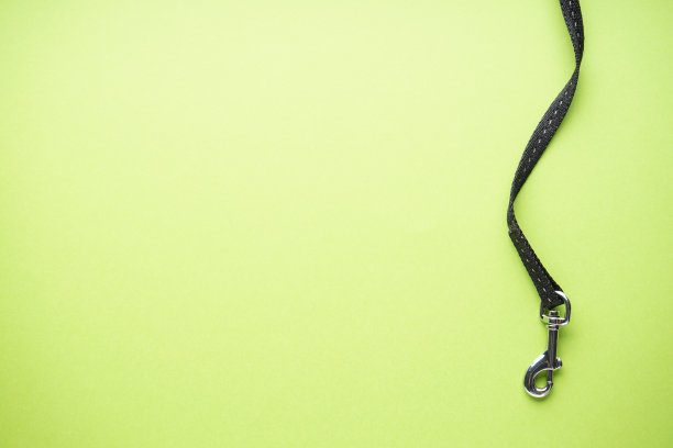 绿色背景上带狗链的钩环。文字空间，平铺。图片下载