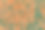 虾在露天的绿色网格上晒干。亚洲传统的罐装方法。图片下载