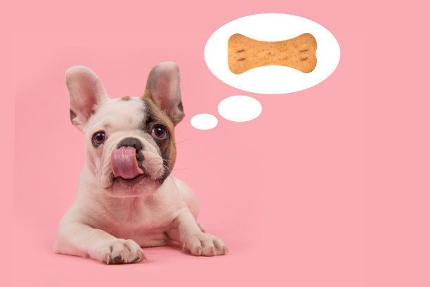 可爱的法国斗牛犬躺在粉红色的背景上，舌头从嘴里伸出来，上面写着“给你一个大大的吻”图片下载