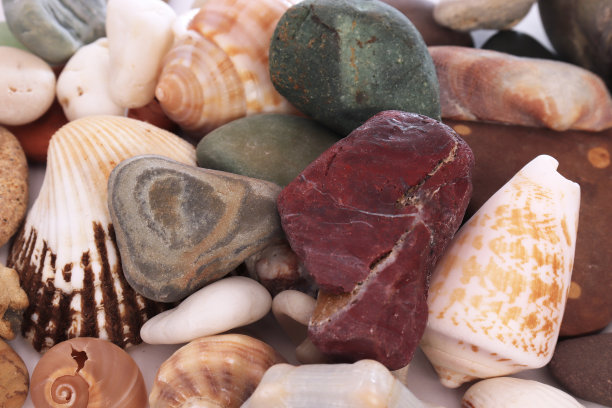 天然的石头和贝壳，五颜六色图片下载