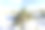 农田里的农业植物图片下载