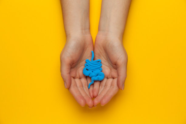 治疗和预防便秘、腹泻。肠道菌群和益生菌。卡通的概念图片下载