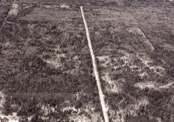 冰雪覆盖的松林鸟瞰。图片下载
