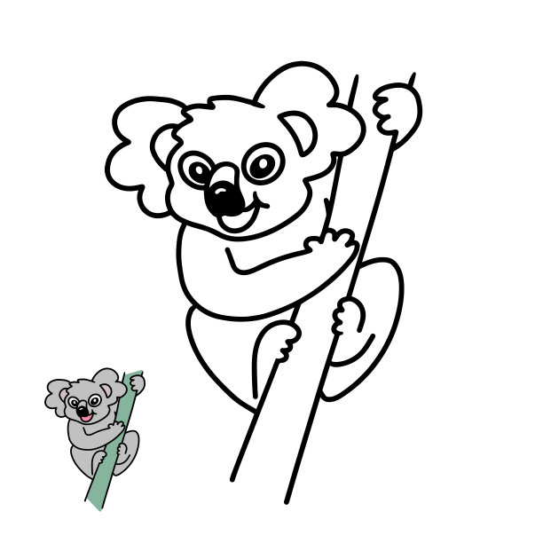 儿童涂色书树袋熊在树枝上图片下载