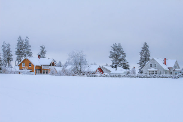 雪中的挪威村庄图片下载