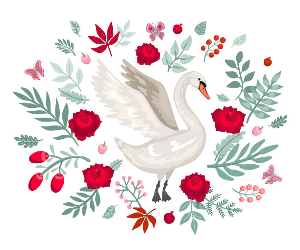 展翅的白天鹅。向量的卡通插图图片下载